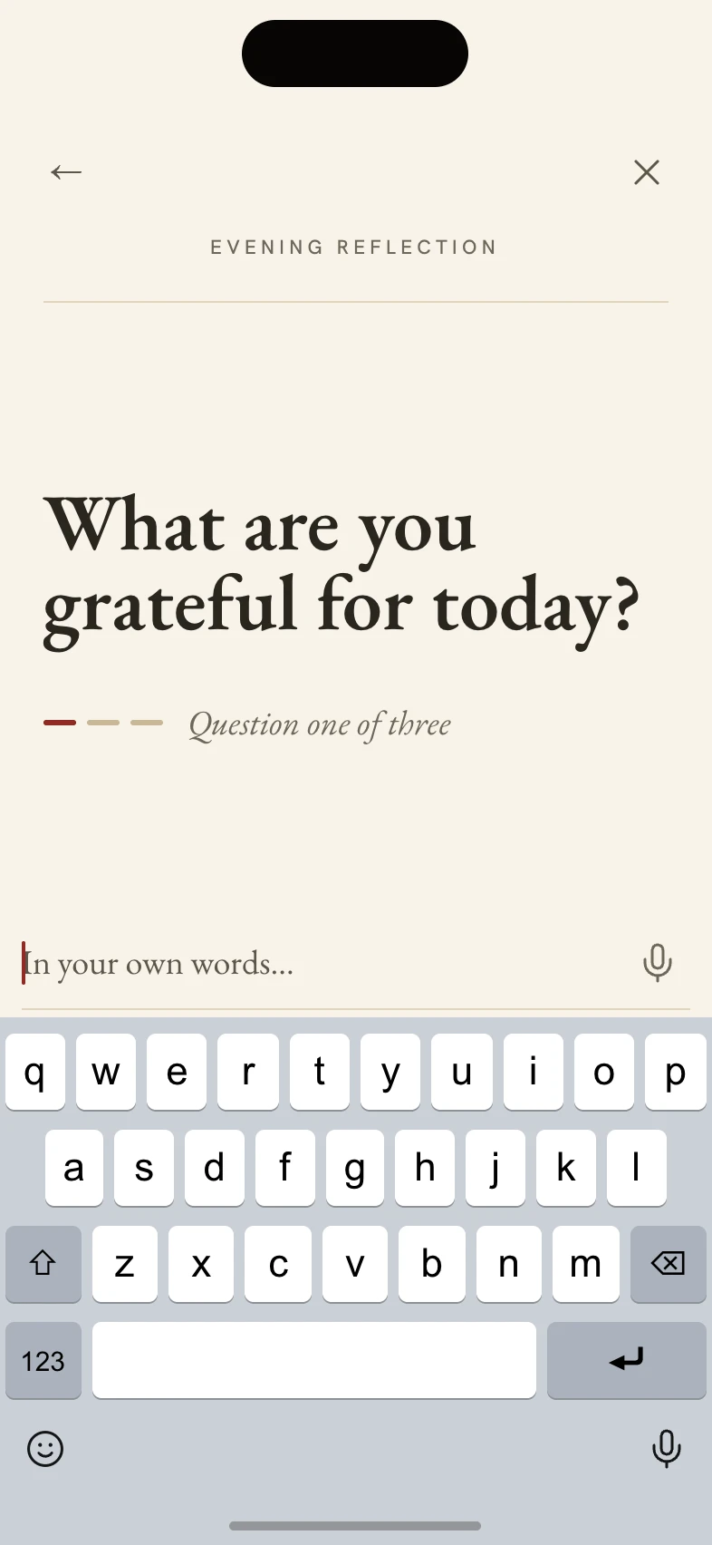 Evening reflection, question one of three: What are you grateful for today?