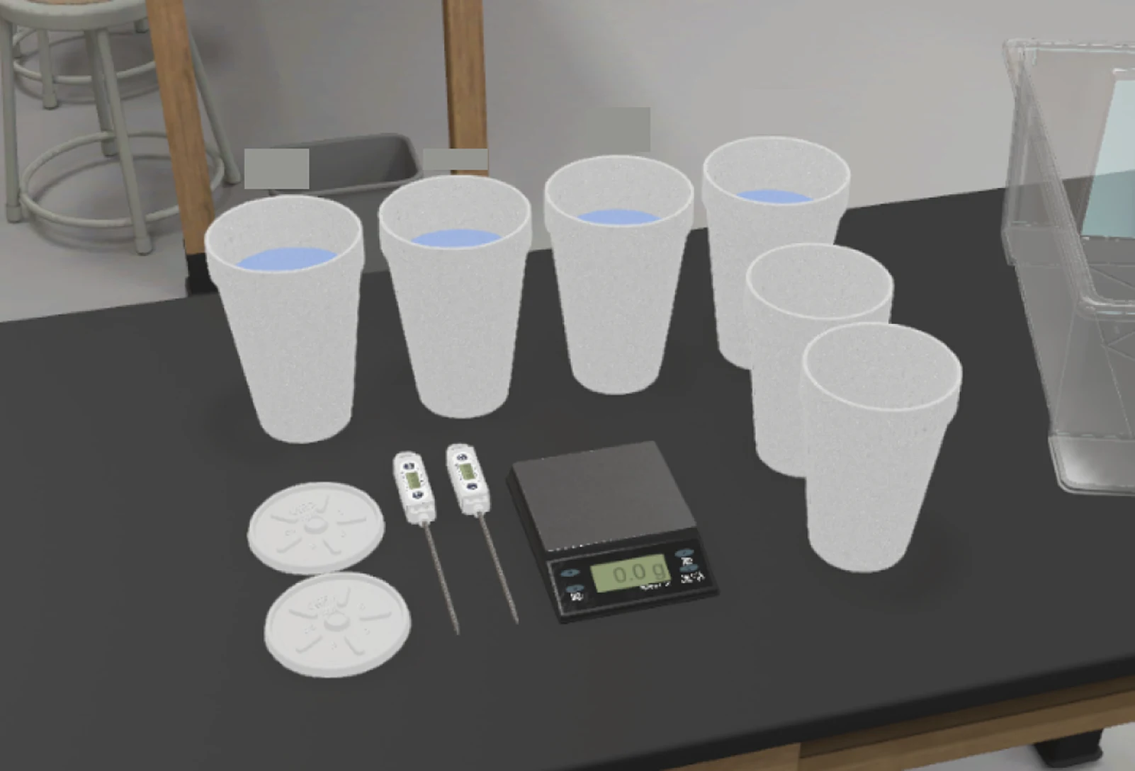 A lab bench with six foam cups, four of them holding the same pale blue liquid, two cup lids, two thermometers and a digital scale. Nothing is labeled.