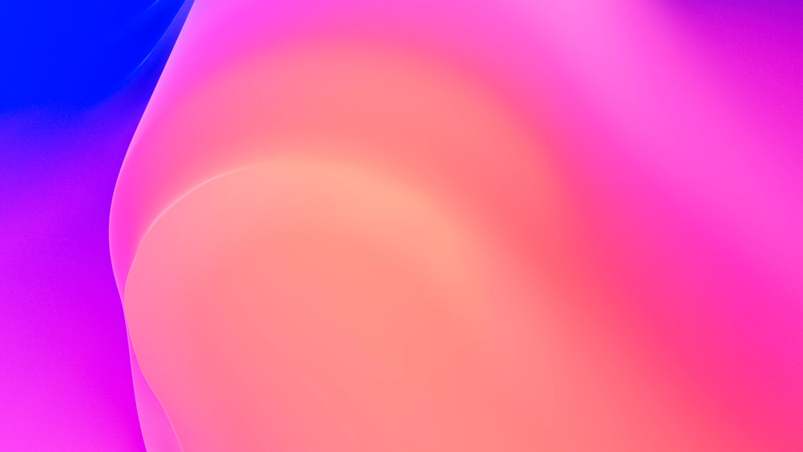 A coral form curving out of blue and magenta